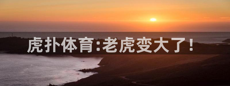 松鼠体育下载：虎扑体育:老虎变大了！