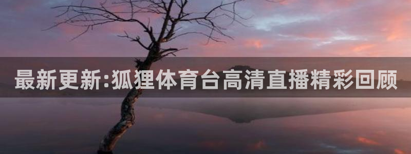 松鼠客户端：最新更新:狐狸体育台高清直播精彩回顾