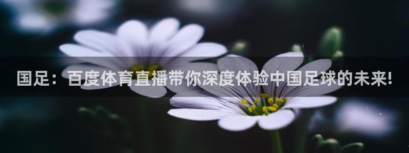 松鼠休闲游戏官网：国足：百度体育直播带你深度体验中国足球的未来!