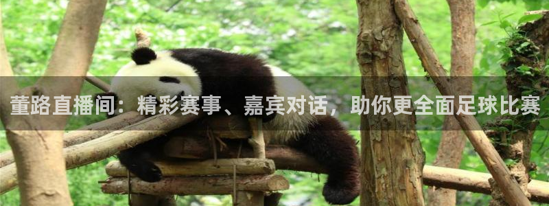 松鼠网官方下载：董路直播间：精彩赛事、嘉宾对话，助你更全面足球比赛