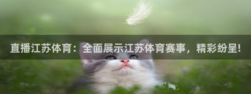 松鼠休闲游戏官网：直播江苏体育：全面展示江苏体育赛事，精彩纷呈!