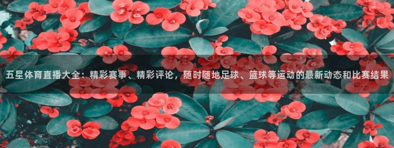 松鼠直播体育免费：五星体育直播大全：精彩赛事、精彩评论，随时随地足球、篮球等运动的最新动态和比赛结果