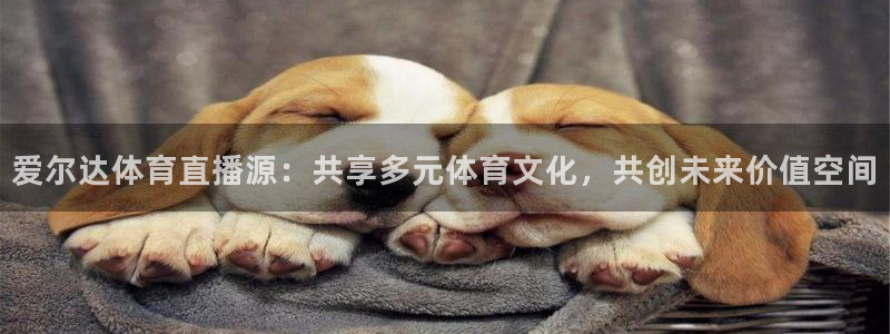 松鼠直播体育免费：爱尔达体育直播源：共享多元体育文化，共创未来价值空间