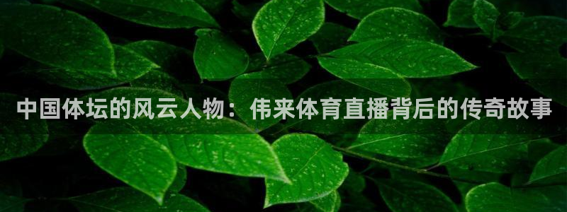 松鼠直播tv：中国体坛的风云人物：伟来体育直播背后的传奇故事
