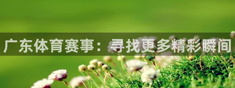 松鼠体育下载：广东体育赛事：寻找更多精彩瞬间